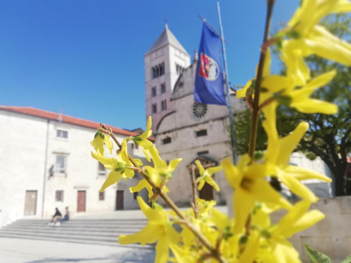 Apartman Pegla Zadar Exterior foto